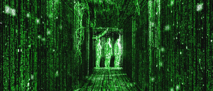 Neo sees the matrix